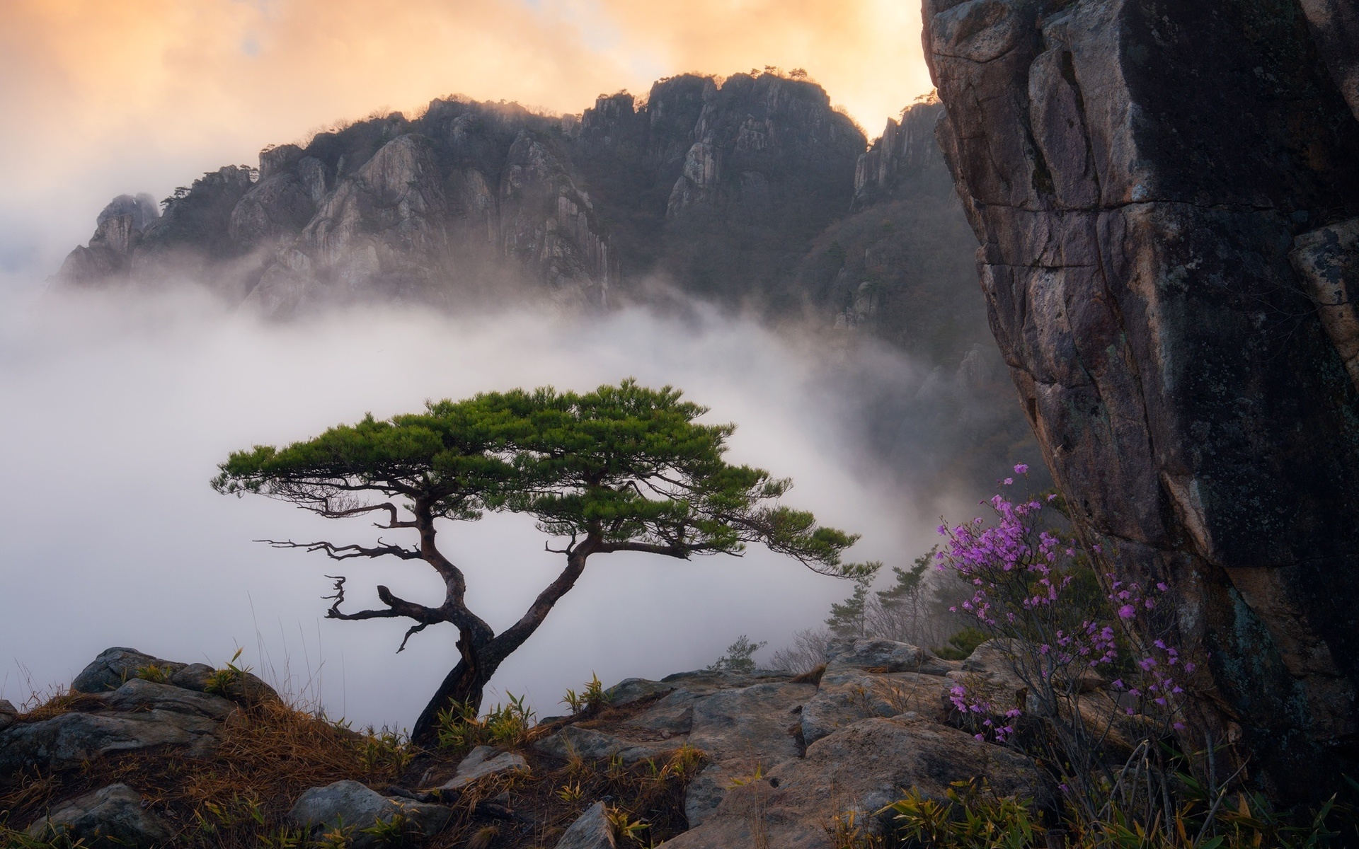 Nature.Wallpapers.3_YasDL.com (2)